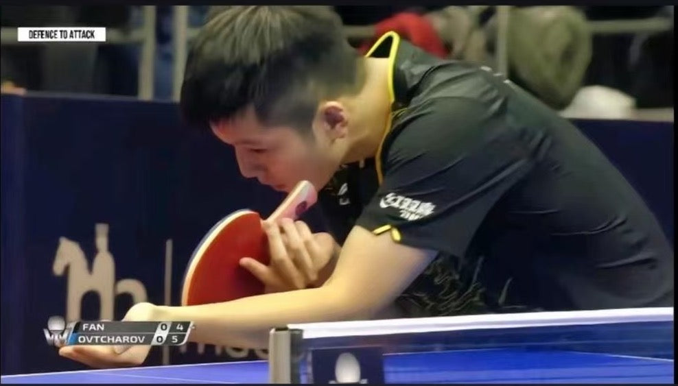 Bois DHS Fang Bo – Version Pro (Sans Code)