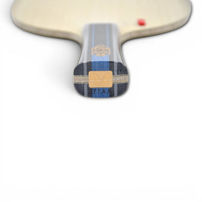 ✨ 𝙉𝙀𝙒 | Butterfly -  Golden Fan Zhendong  ALC  91g
