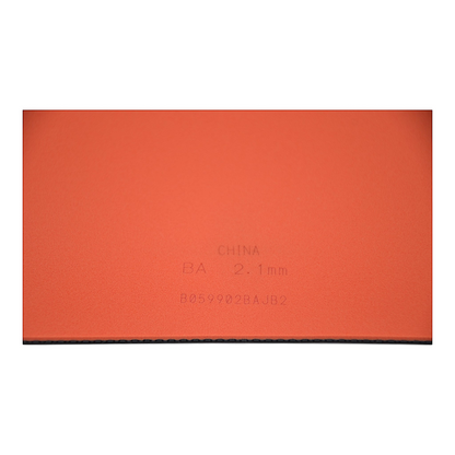 Butterfly Tenergy 05 – Version Professionnelle (Équipe Nationale Chinoise)