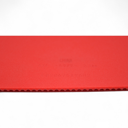 Butterfly Dignics 05 – Version Professionnelle (Équipe Nationale Chinoise)