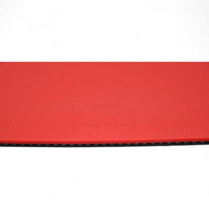 Butterfly Dignics 05 – Version Professionnelle (Équipe Nationale Chinoise)