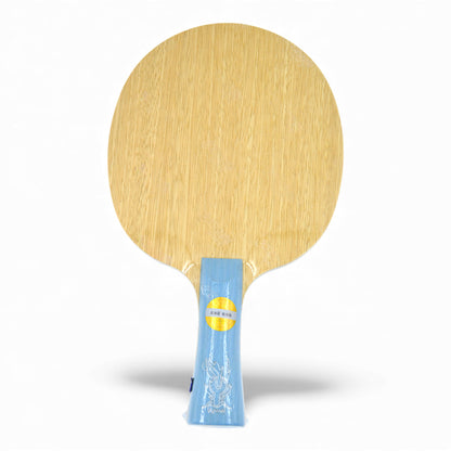 DHS W968 – (Structure 12 – Carbone Externe) Atelier Équipe Nationale