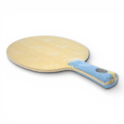 DHS W968 – (Structure 12 – Carbone Externe) Atelier Équipe Nationale