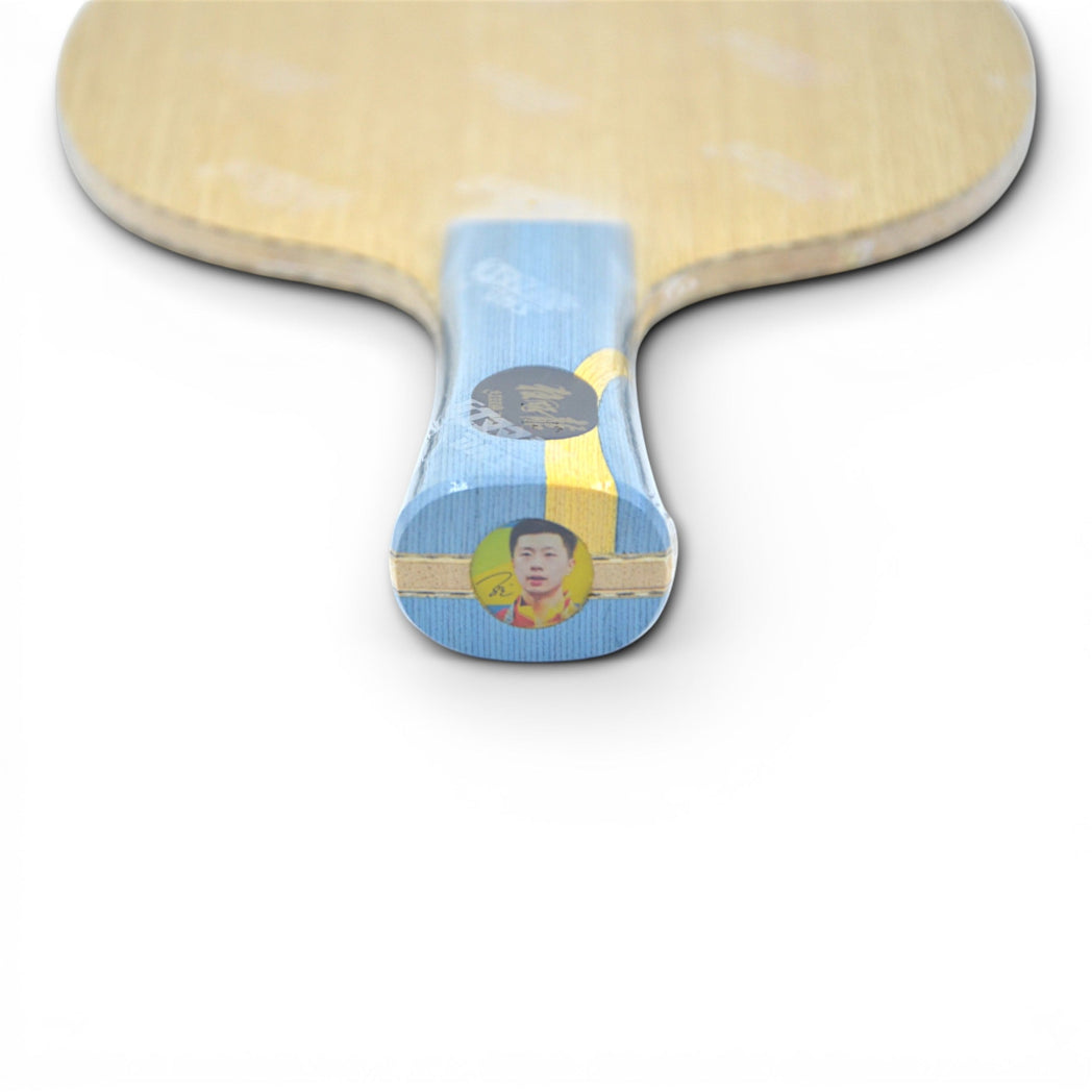 DHS W968 – (Structure 12 – Carbone Externe) Atelier Équipe Nationale