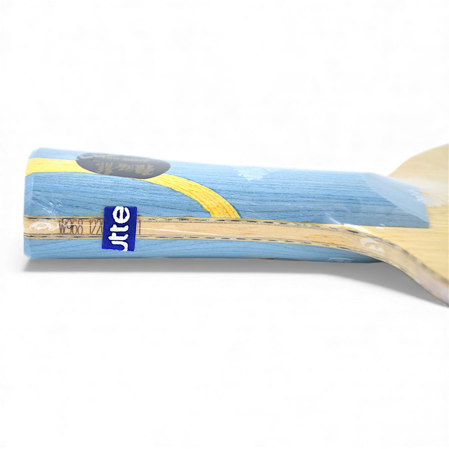 DHS W968 – (Structure 12 – Carbone Externe) Atelier Équipe Nationale