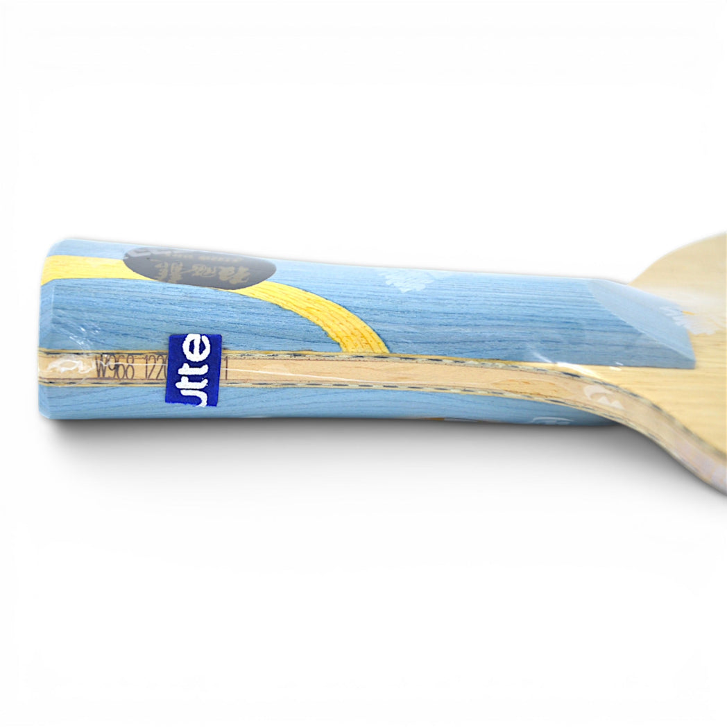 DHS W968 – (Structure 12 – Carbone Externe) Atelier Équipe Nationale