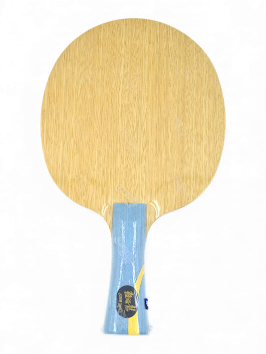 DHS W968 – (Structure 12 – Carbone Externe) Atelier Équipe Nationale