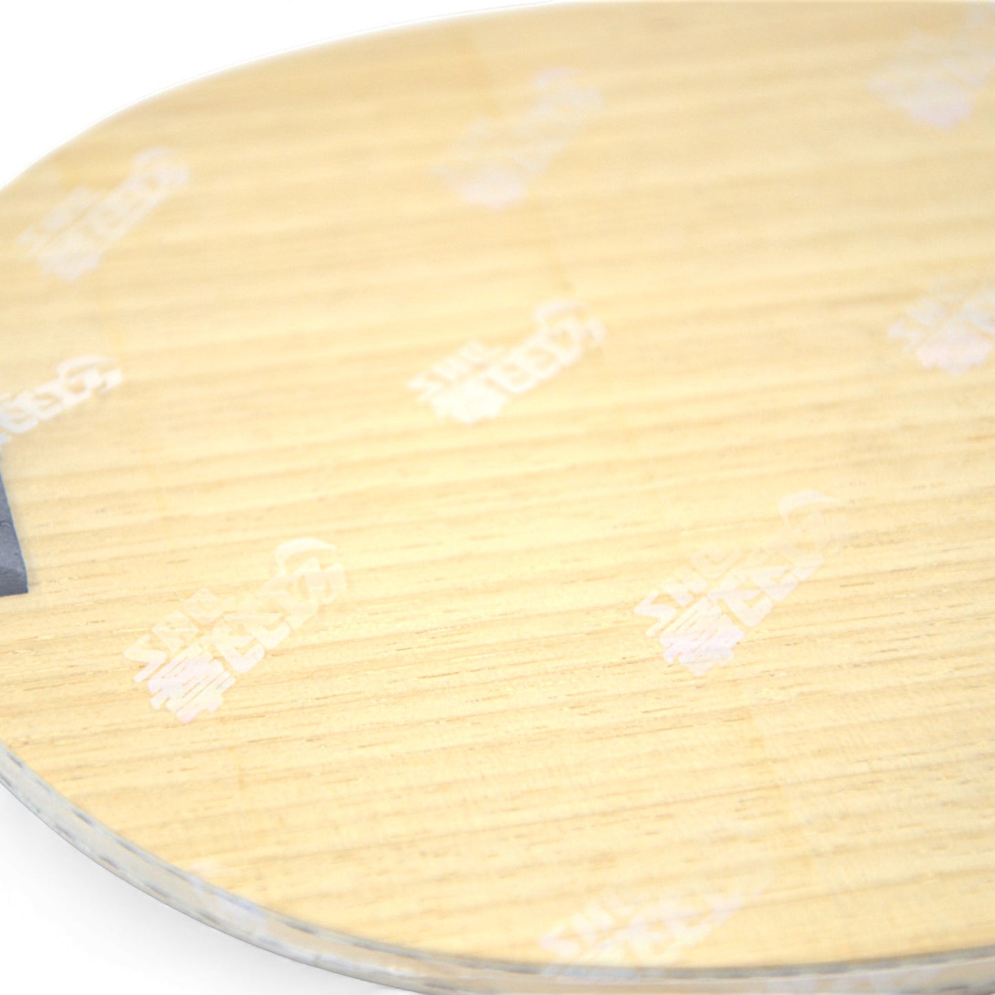 DHS Q968 – Bois Personnel de Wang Chuqin (Numéro 1)