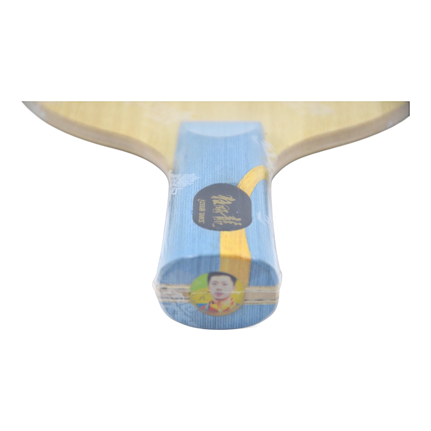 DHS W968 Qi Fei - Chinese Penhold