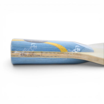 DHS W968 Qi Fei - Chinese Penhold