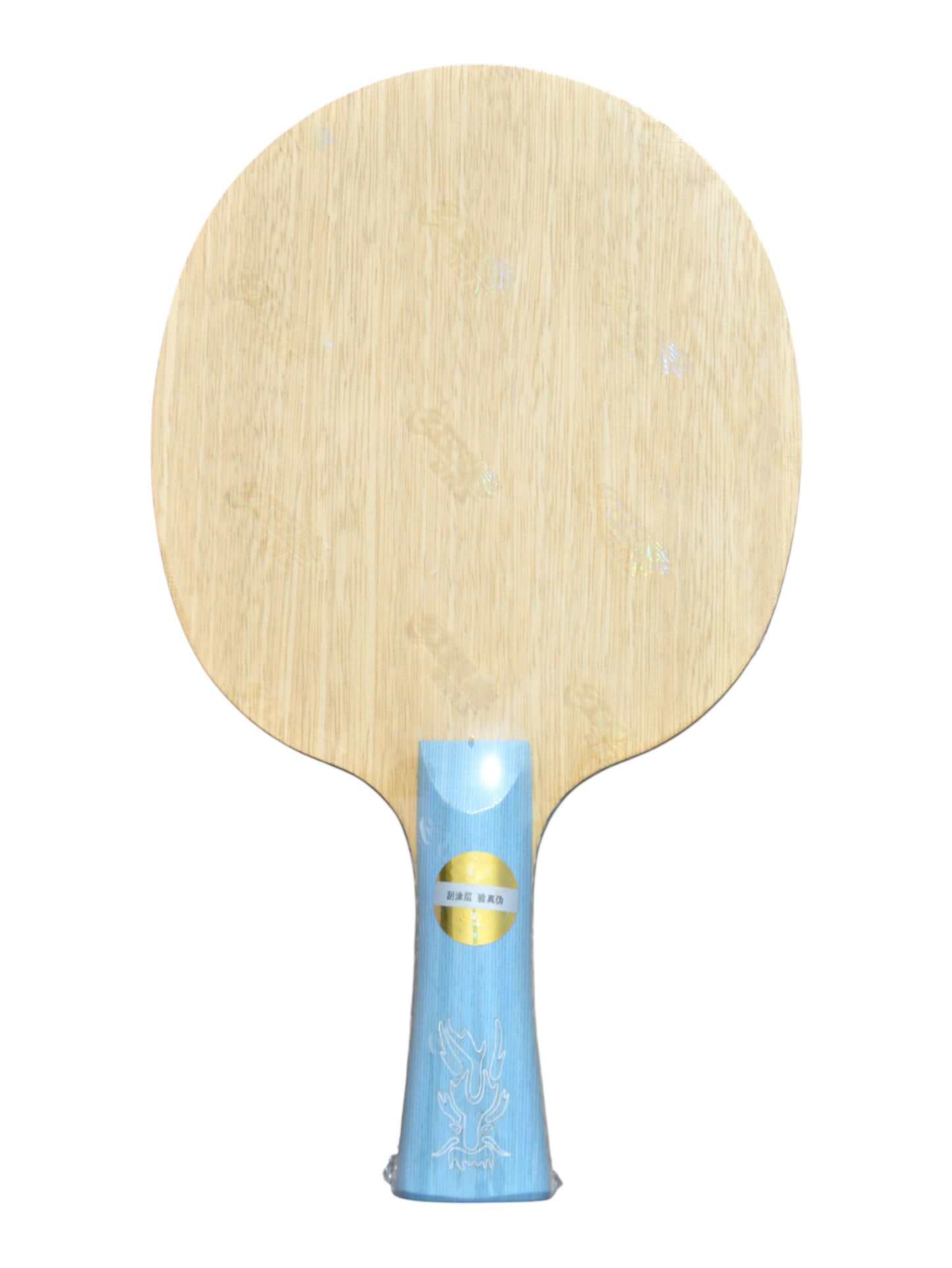 DHS W968 – (Structure 12 – Carbone Externe) Atelier Équipe Nationale