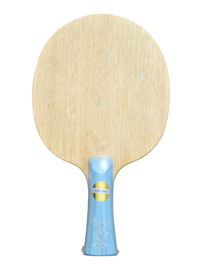 DHS W968 – (Structure 12 – Carbone Externe) Atelier Équipe Nationale