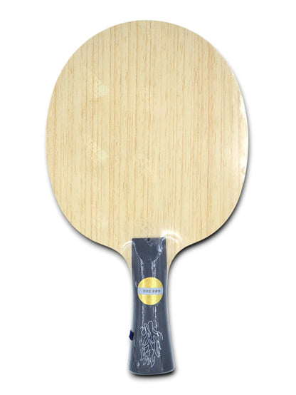 ✨ 𝙉𝙀𝙒 | DHS Xiang Peng N°1 Player Edition