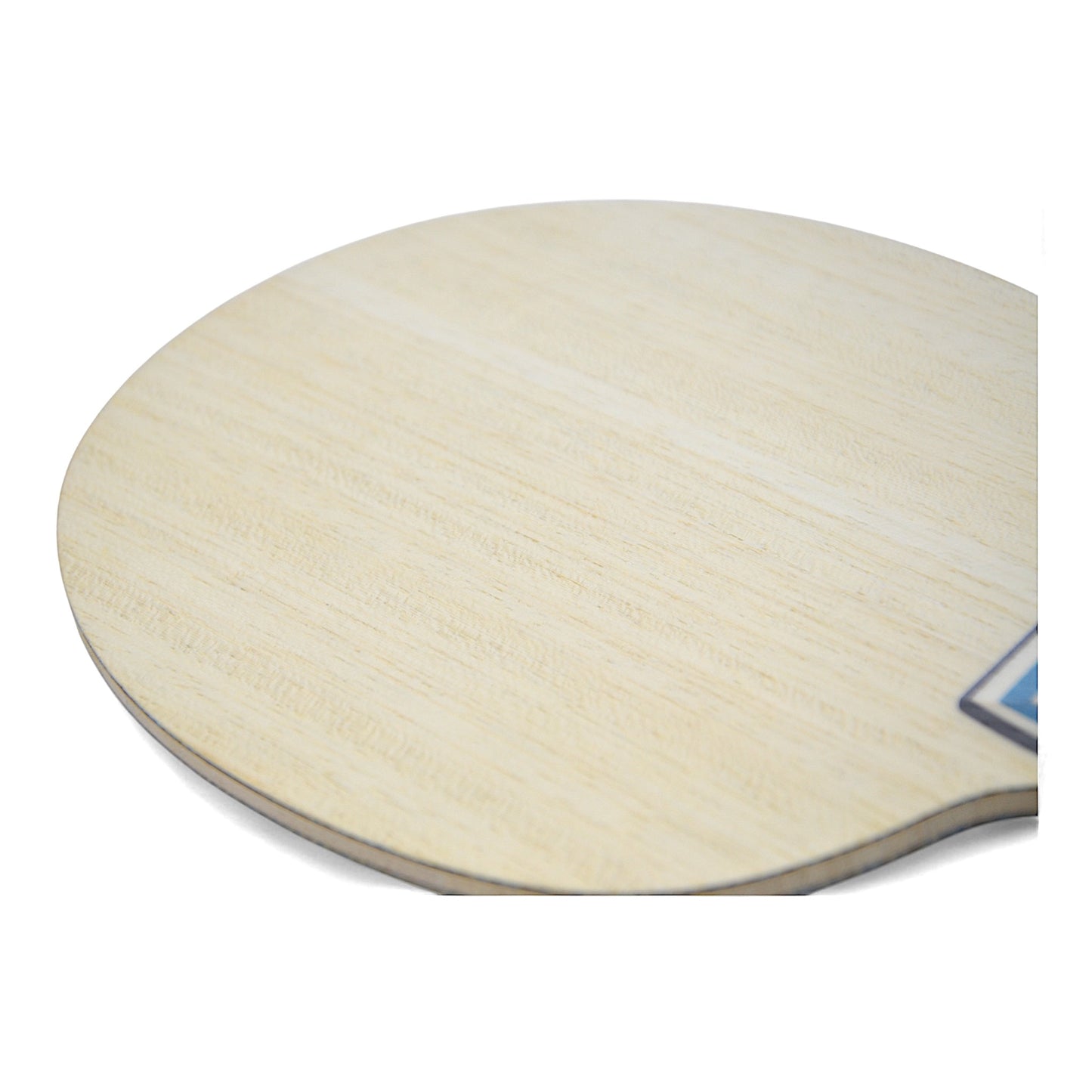 Butterfly Fan Zhendong Viscaria – Édition Double Code   Houston (2021)