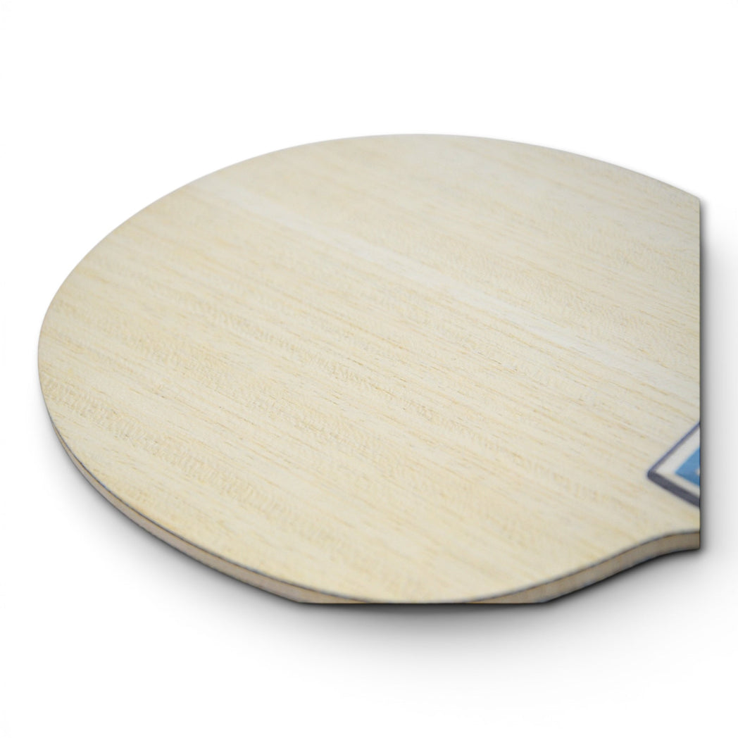 Butterfly Fan Zhendong Viscaria – Édition Double Code   Houston (2021)