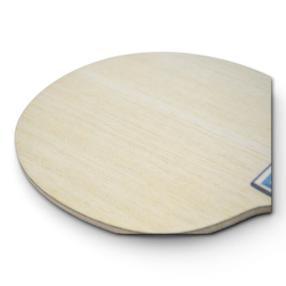 Butterfly Fan Zhendong Viscaria – Édition Double Code   Houston (2021)