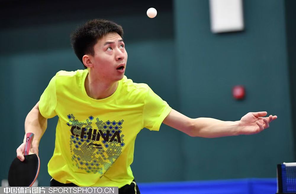 Bois DHS Fang Bo – Version Pro (Sans Code)