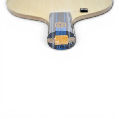 ✨ 𝙉𝙀𝙒 | Butterfly -  Fan Zhendong  Golden ALC Porte-plume Chinois 83g