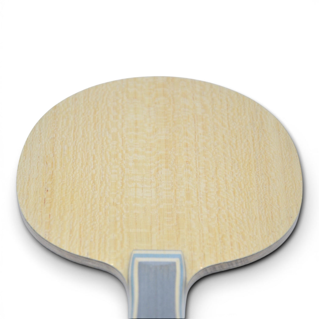 Papillon Viscaria Golden - Version Code U