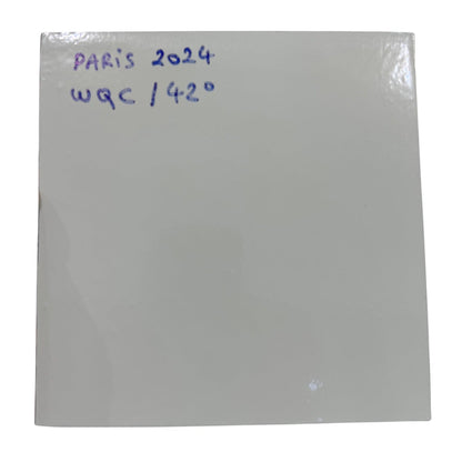 DHS Hurricane 3 PRO – Version perso – JO Paris 2024 | Revêtement de tennis de table