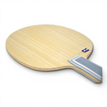 Butterfly - Liu Shiwen  Inner carbon Viscaria- Double code (Year 2017)