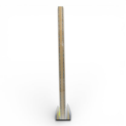 Butterfly Dimitrij Ovtcharov ALC – Version Pro (Double Code)