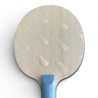 DHS W968 Liang Jingkun (Player Edition) Gebraucht, fast neuwertig