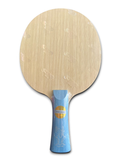 DHS W968 Liang Jingkun (Player Edition) Gebraucht, fast neuwertig