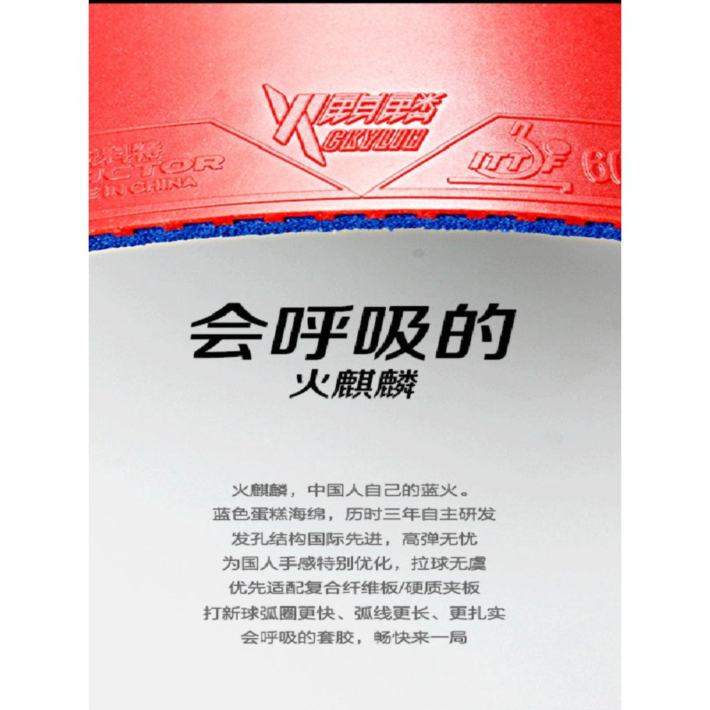 Reactor Ckylin Pro (Max) | Revêtement de tennis de table