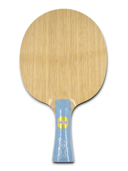 DHS W968 - Wang Yidi  | Bois de Ping Pong